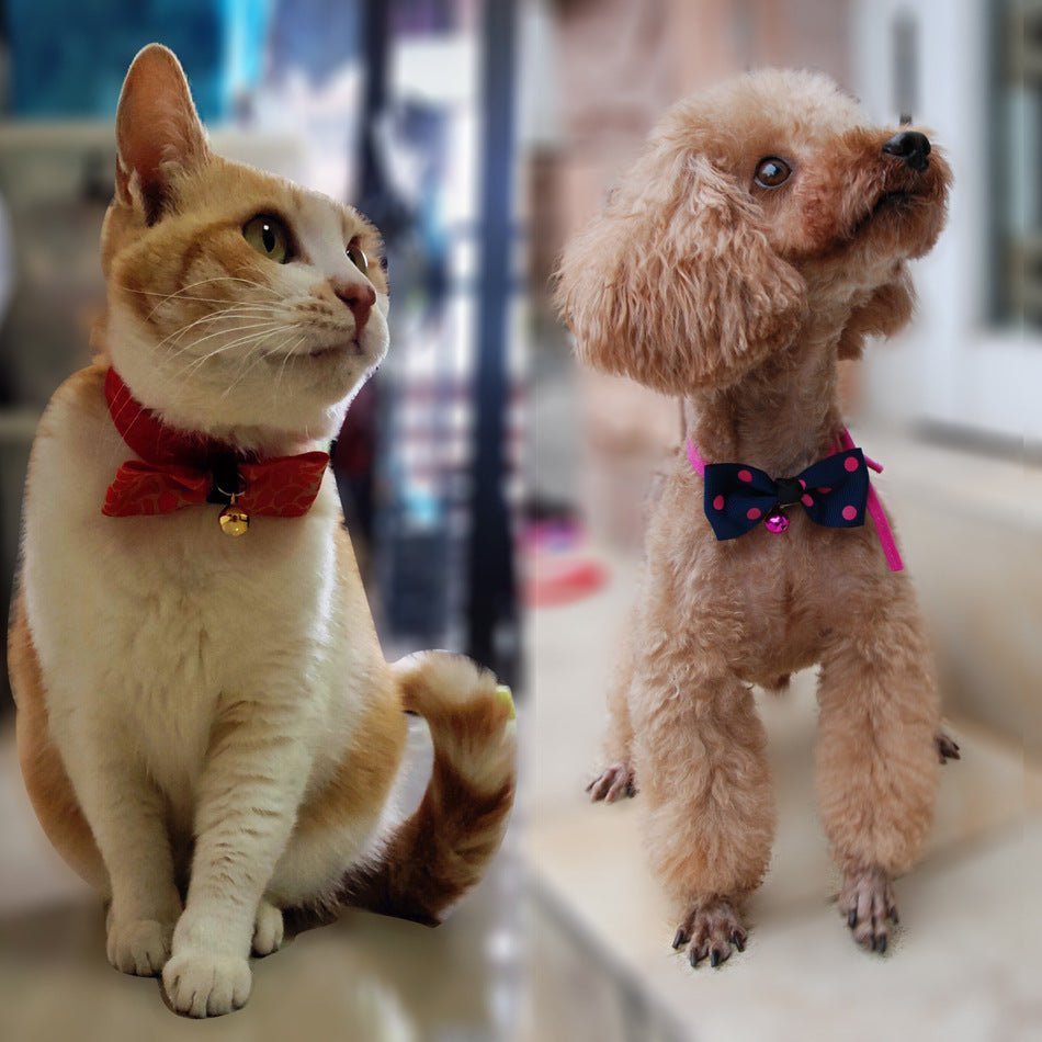 PET ACCESSORIES - Sex Shop