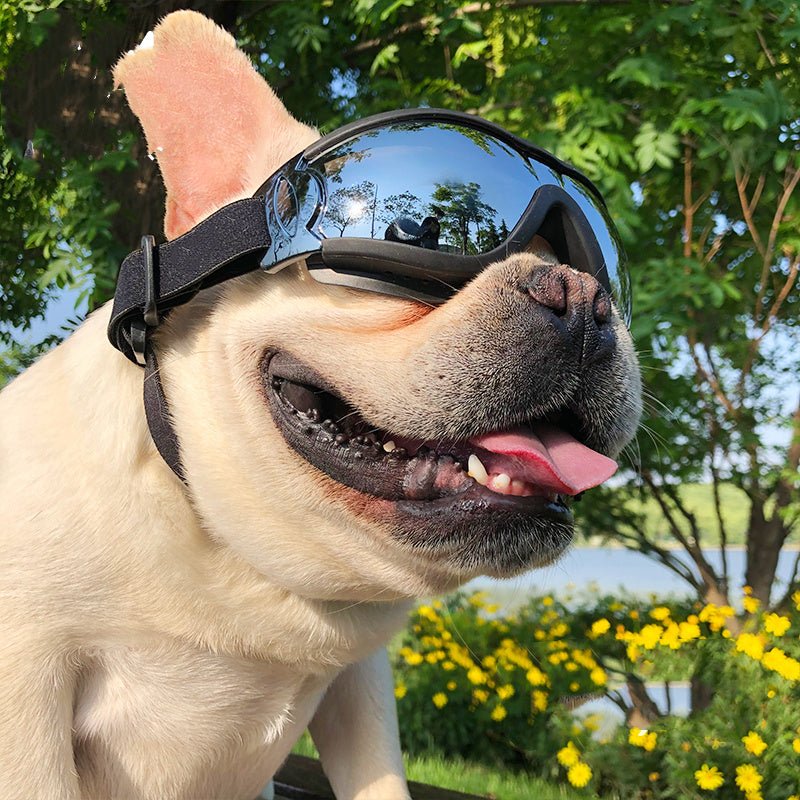 Pet Sunglasses Dog Windproof Glasses Accessories Goggles - Sex Shop